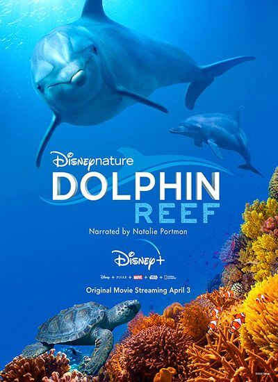 معرفی مستند صخره دلفین دوبله فارسی Dolphin Reef 2020